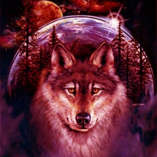 TRADER MARKET-WOLF