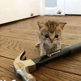 ПРОГАЮ КРИПТУ