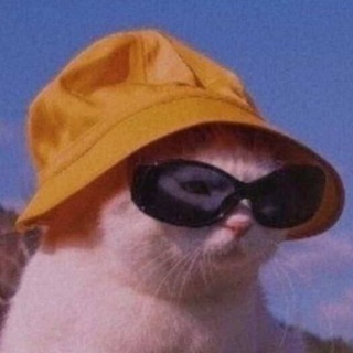 LUNA ЯЗЫЧКИ И ТЕМКИ