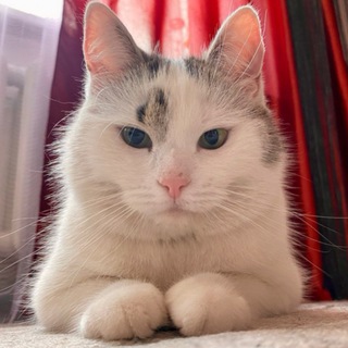 А-НУ-КА ДАВАЙ-КА