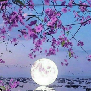 ஜீ →ЭСТЕТИЧНЫЕ ВИДЕО, КАРТИНКИ←