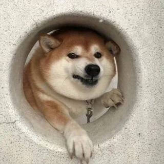 АНГЛИЙСКИЕ МЕМЫ  ПЕРЕВОД