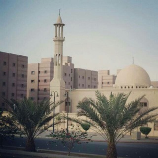  ФАВАИД (ПОЛЬЗЫ)