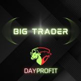 BIG TRADER PROFIT