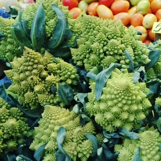 ЧТО СЕГОДНЯ НА СЕННОМ