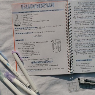 КОНСПЕКТЫ | ОФОРМЛЕНИЕ