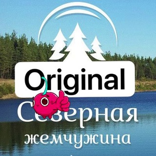 СЕВЕРНАЯ ЖЕМЧУЖИНА СНТ