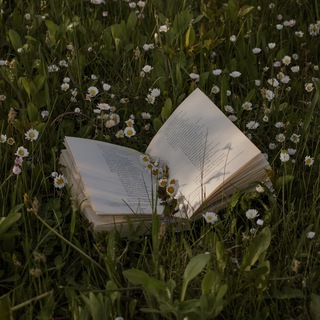 БЕЗ ФИЛЬТРОВ | ПСИХОЛОГИЯ ДЛЯ НЕИДЕАЛЬНЫХ