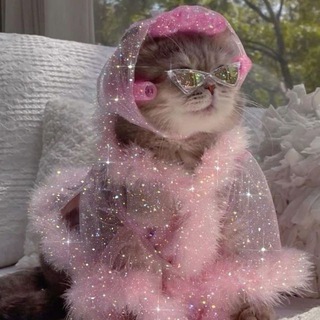 БЬЮТИ БЛАЖЬ