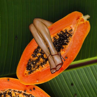 НЕСКУЧНЫЙ ВЕЛНЕС