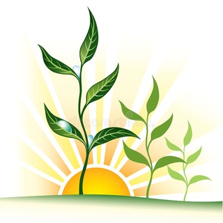 ПСИКЛАСТЕР|САМОТРАНСФОРМАЦИЯ|ПСИХОЛОГИЯ