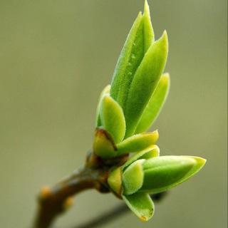 ПУТЬ К СЕБЕ