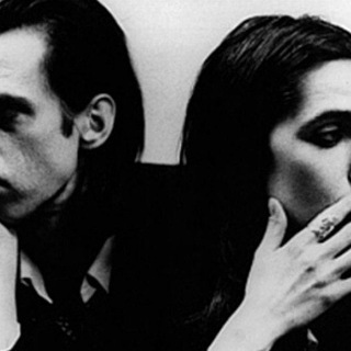 ШИПЫ И РОЗЫ