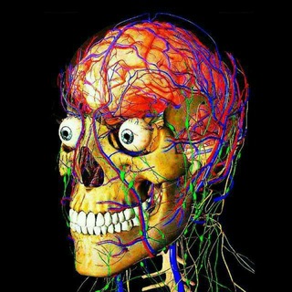 ВИЖИТИ В МЕДІ