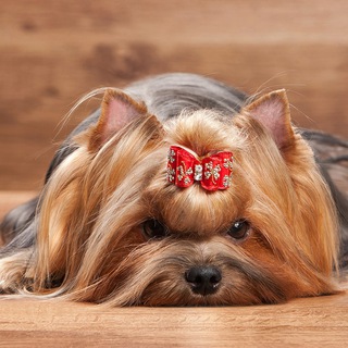 ЛОХМАТЫЙ МАГАЗИН