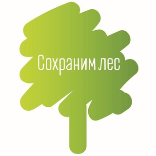 СОХРАНИМ ЛЕС