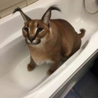 СПОТИФАЙ ВЗЛОМ РЯЛЬНО