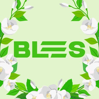 BLES — КІБЕРСПОРТ ТА ІГРИ | BLESSED ESPORTS