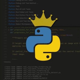 PYTHON RU