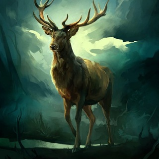 ФОТО | ЖИВОТНЫЕ | ПРИРОДА