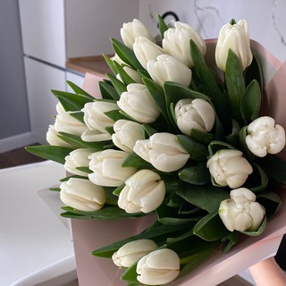 БАЙЕР АЛИНА