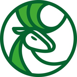 ПУТЕШЕСТВИЯ ПО КАРЕЛИИ И СЕВЕРО-ЗАПАДУ | СКАНТУР