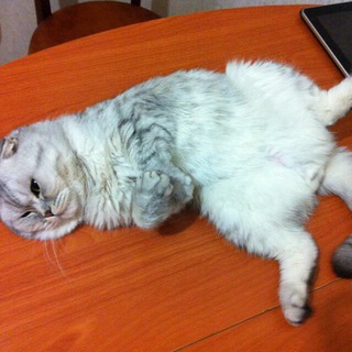 НЕНАСТОЯЩИЙ МИЛЛИОНЕР