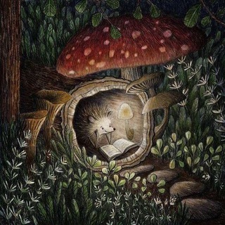 КЛАВДИЙ ЁЖИК