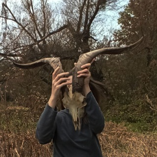 МУТОРНІСТЬ