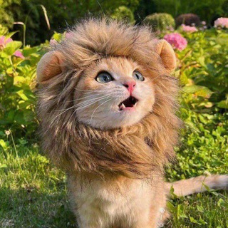 ЛАМПОВЫЙ КАНАЛ