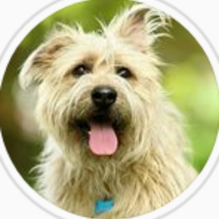 БОЛЬШОЙ МАШКИНСКИЙ ПРИЮТ