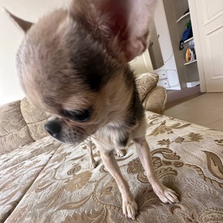 ПРО ЭЗОТЕРИКУ И МОЙ ДУХОВНЫЙ МИР