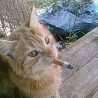 ВИКЬЮРР