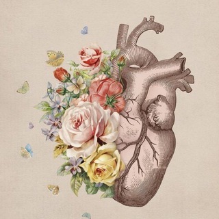 СТУДЕНТЫ-МЕДИКИ МАТЕРИАЛЫ