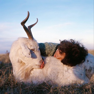 МОИ ЛЮБИМЫЕ КАРТИНКИ