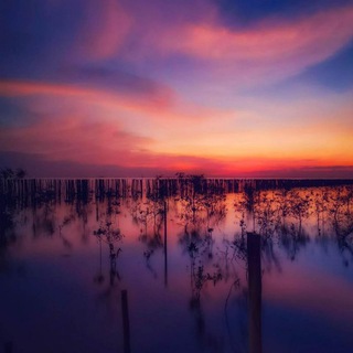 ОТЗЫВЫ БИОТЮН/ДРОН