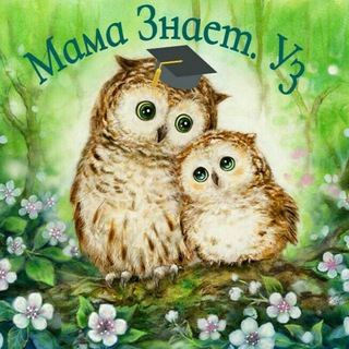 МАМА ЗНАЕТ. УЗ