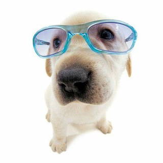 ЧАТИК ОБЩЕНИЯ 