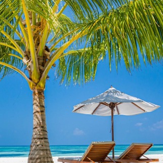 ЖИЗНЬ БЕЗ ИНСТЫ ТУТ