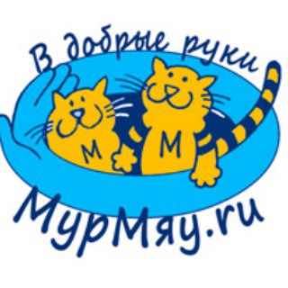БЕЗДОМНЫЕ КОШКИ ИЩУТ ДОМ