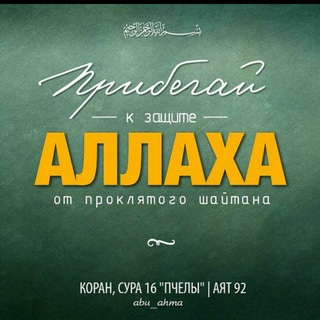 1АЛАМУЛЬ-ДЖИНН