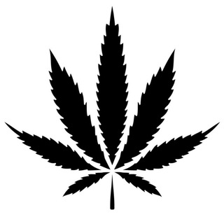 P R O P Â G A N D A