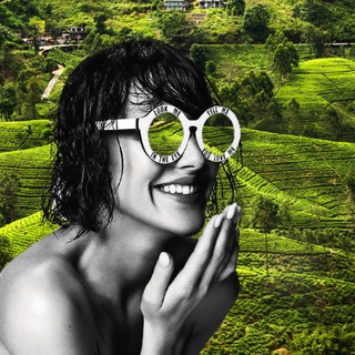  SOUTH CEYLON RENT  ШРИ-ЛАНКА: АРЕНДА, ЖИЛЬЕ, ВИЛЛЫ.