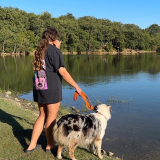 ВОЛЬТ ТАКСИСТ