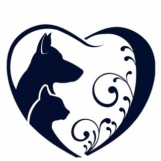 ПРИЮТ ДЛЯ БЕЗДОМНЫХ ЖИВОТНЫХ