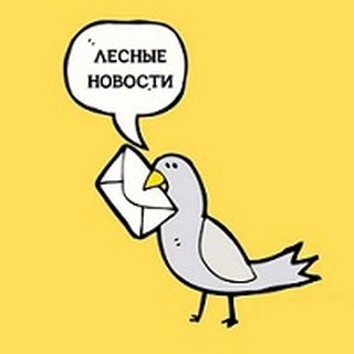 ЛЕСНЫЕ НОВОСТИ
