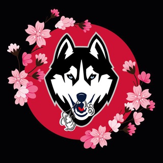 HUSKY SMOKE | TERRASPORT
