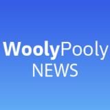 НОВОСТИ WOOLYPOOLY