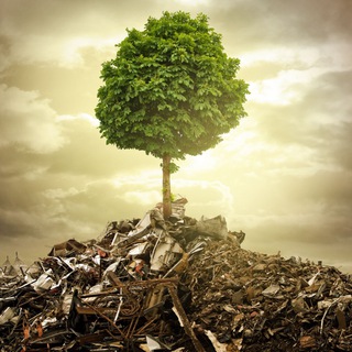 GREEN CITY.ЭКОЛОГИЯ.