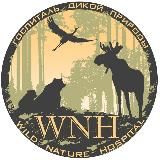 WILD NATURE HOSPITAL ГОСПИТАЛЬ ДИКОЙ ПРИРОДЫ